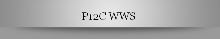 P12C WWS 