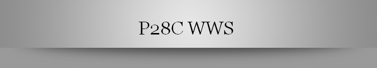 P28C WWS 